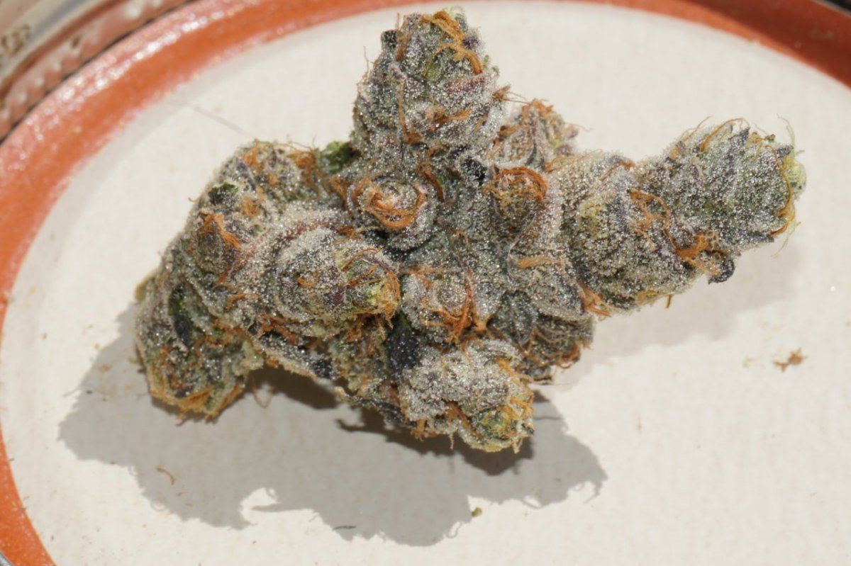 Nugporn2