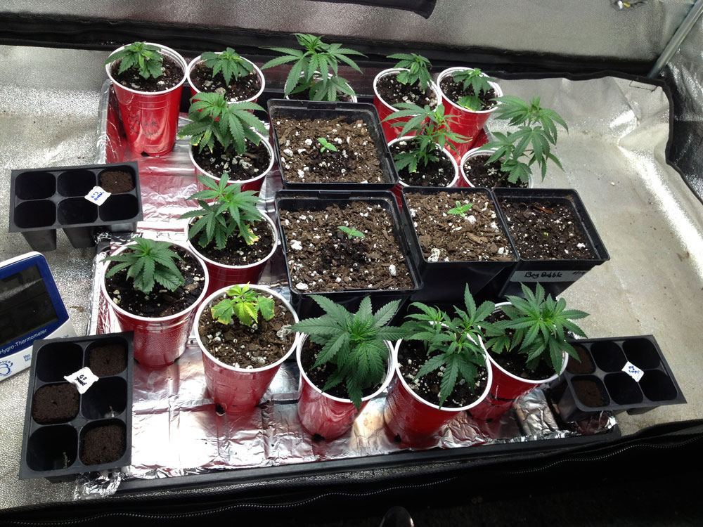 Nursery