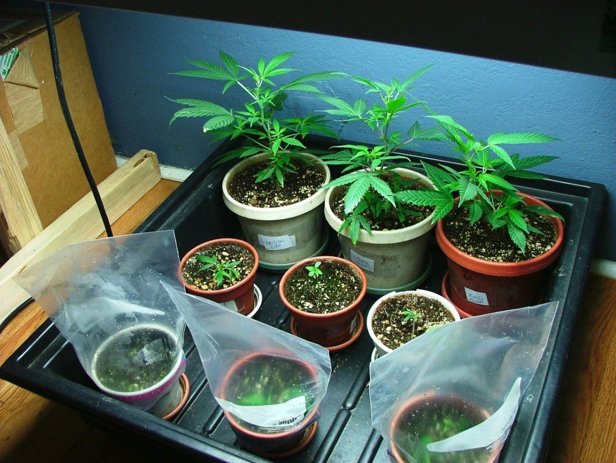 Nursery