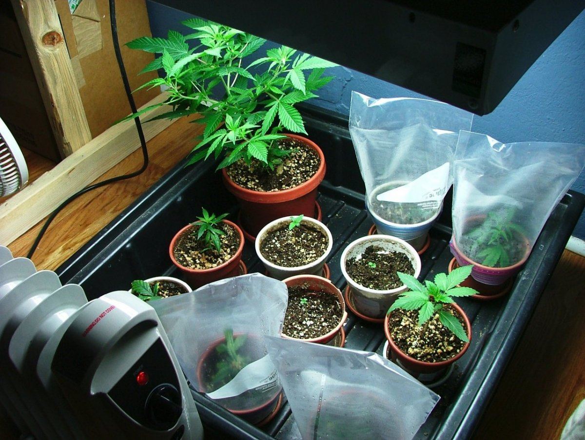 Nursery