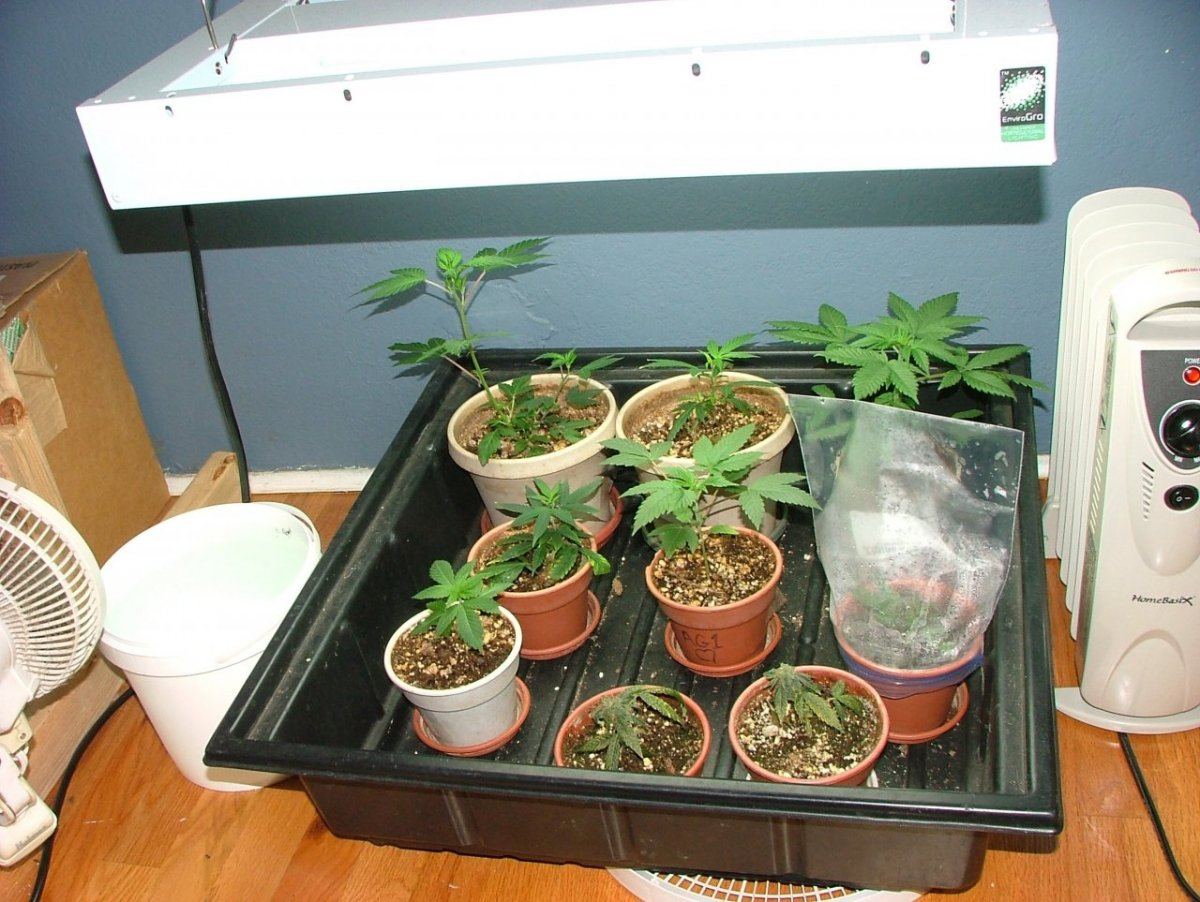 Nursery