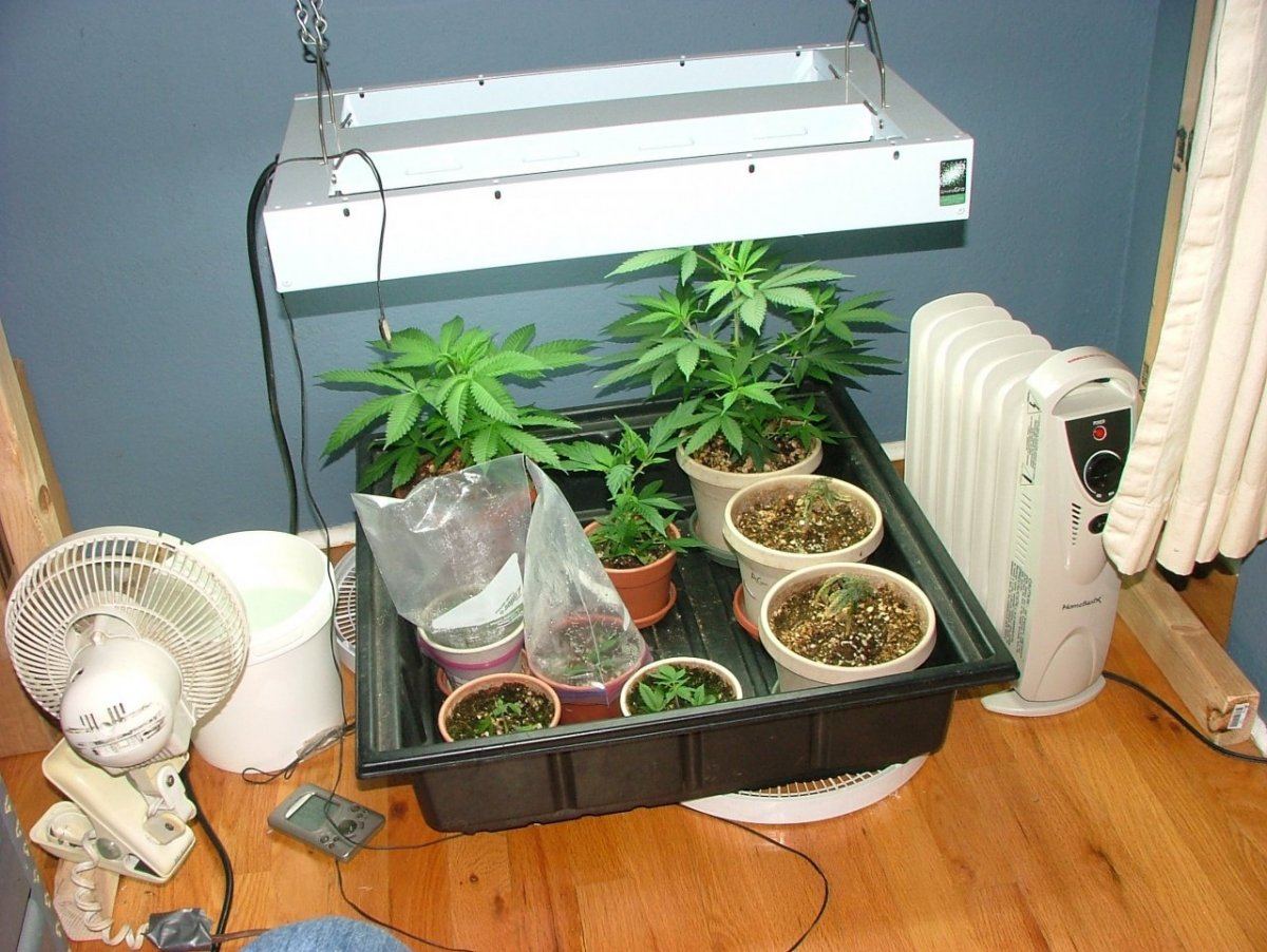Nursery
