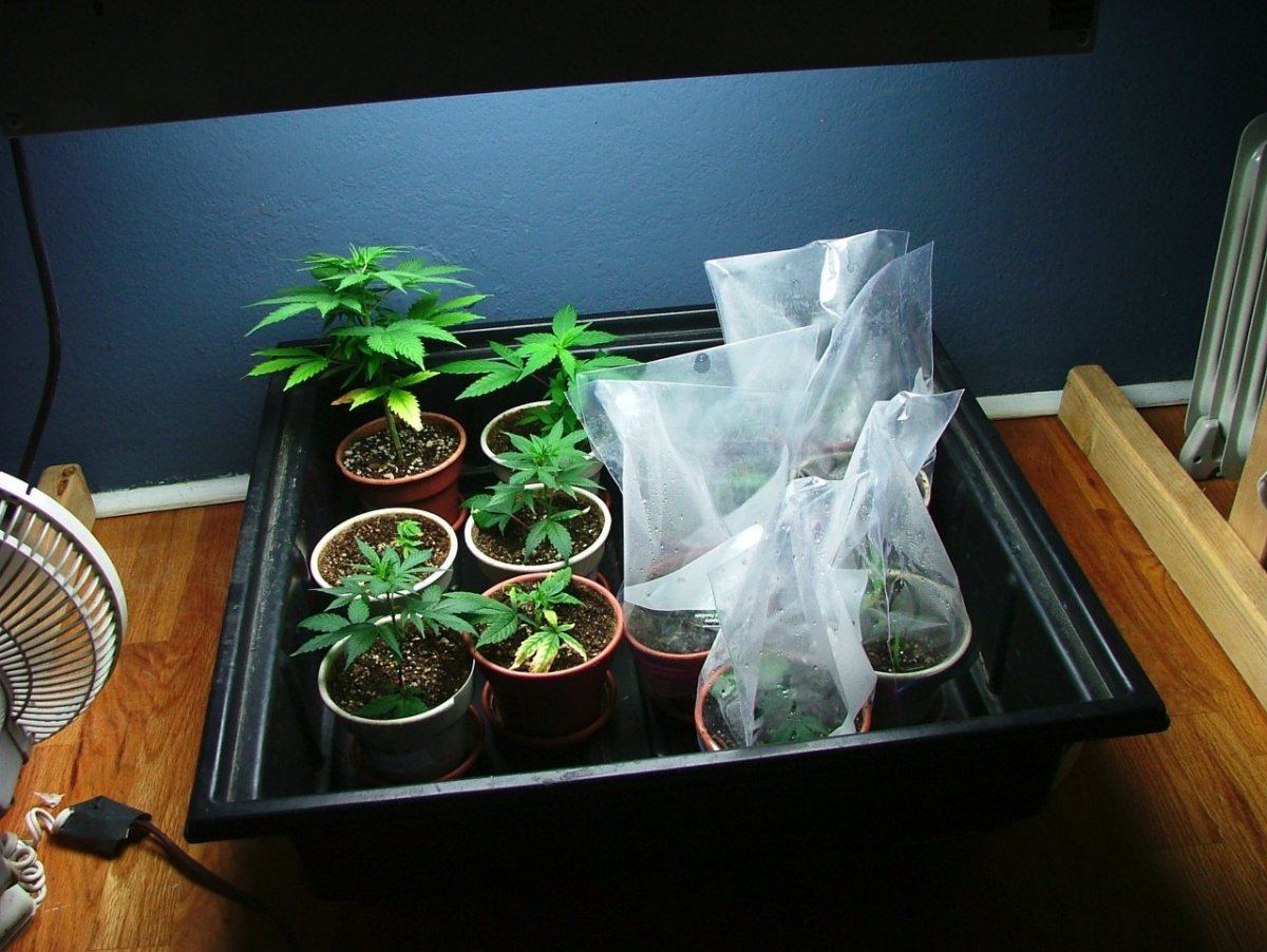 Nursery