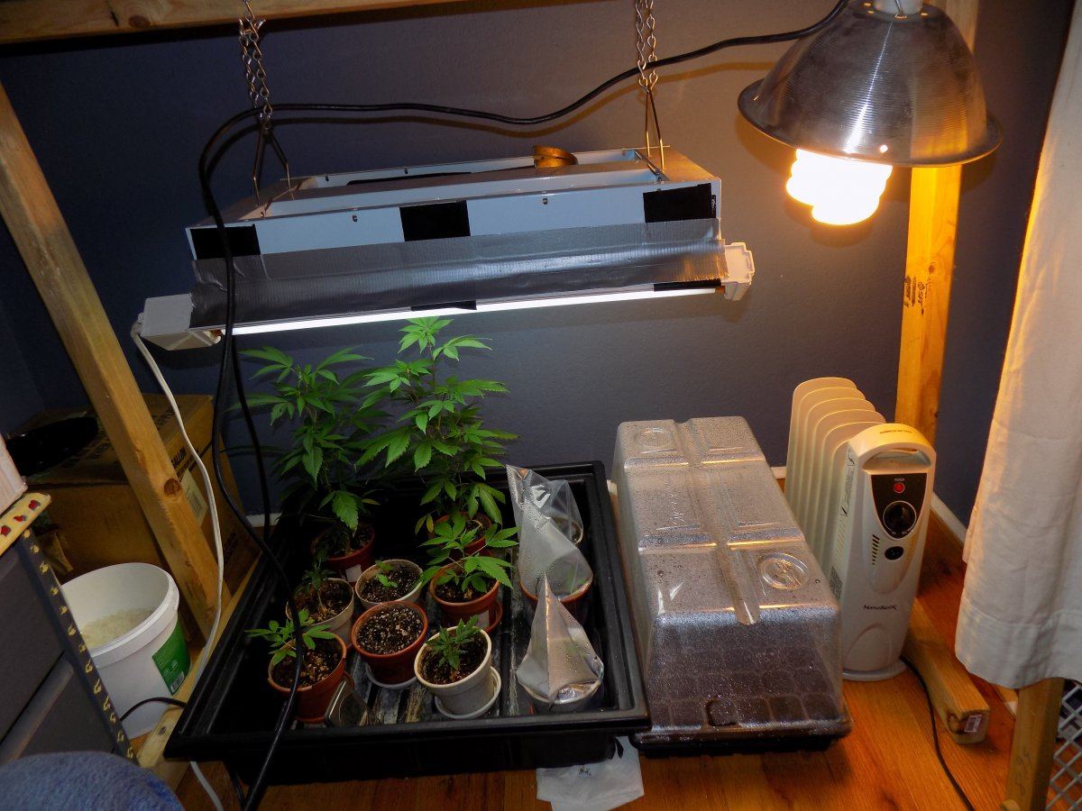 Nursery