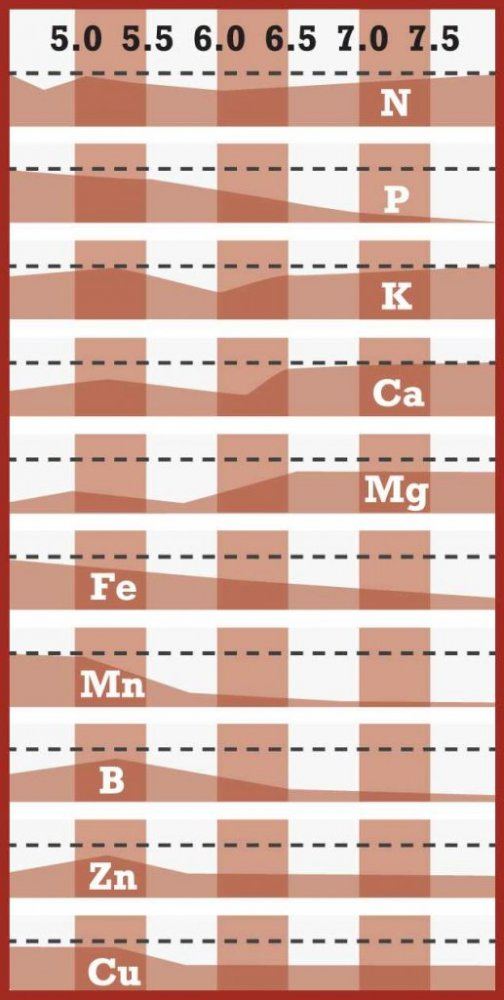 Nutrient availability