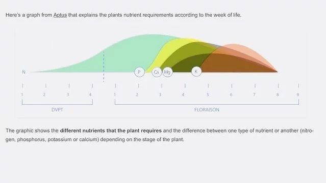 Nutrient needs in stage