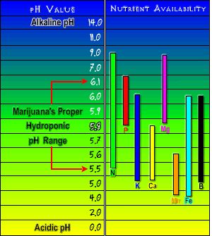 Nutrient uptake chart   hydro