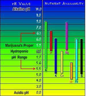 Nutrient uptake chart   hydro