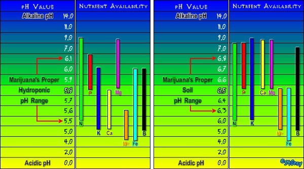 Nutrient Chart2