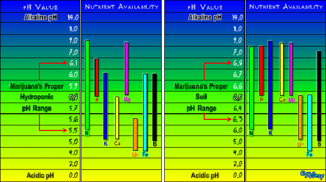 Nutrient chart 454