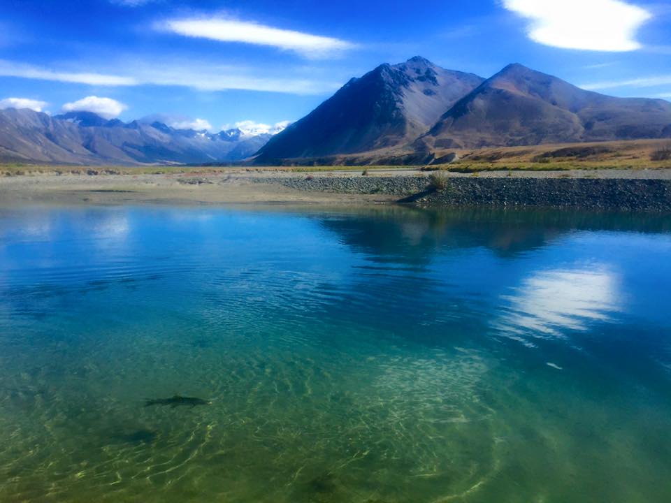 Nz101