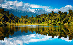 Nz11