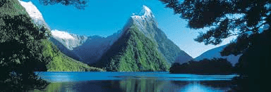 Nz15