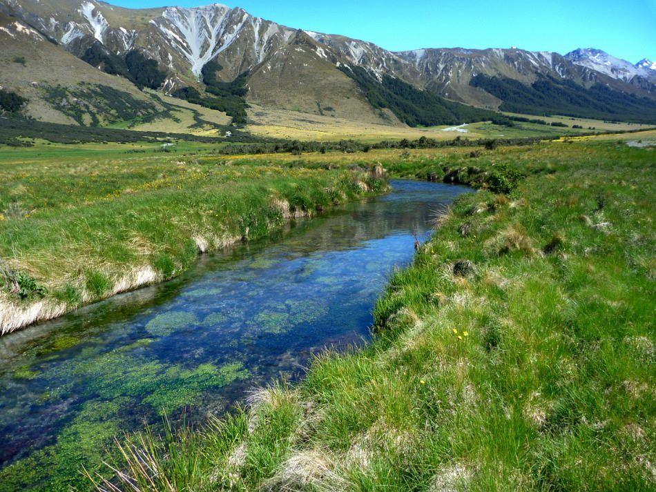 Nz16