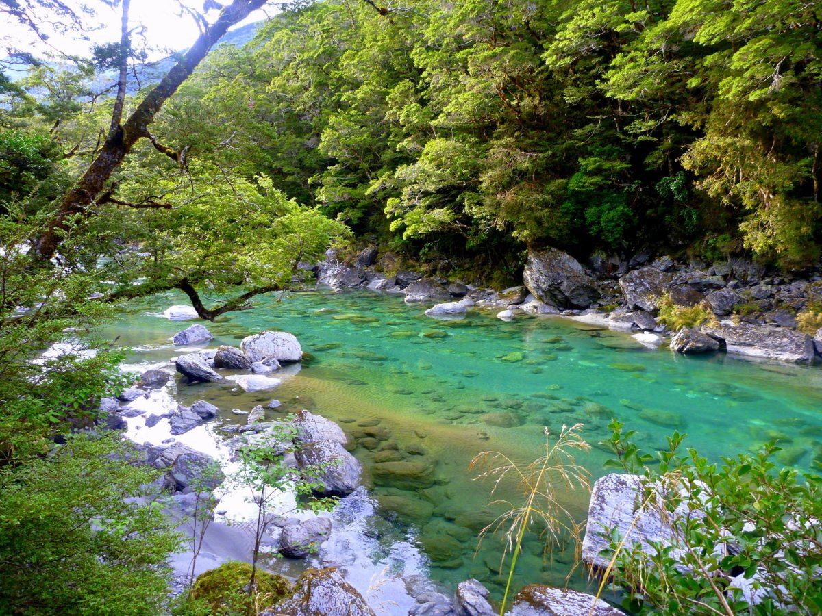 Nz2