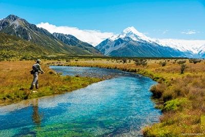 Nz20