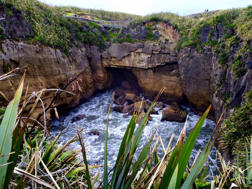 Nz21