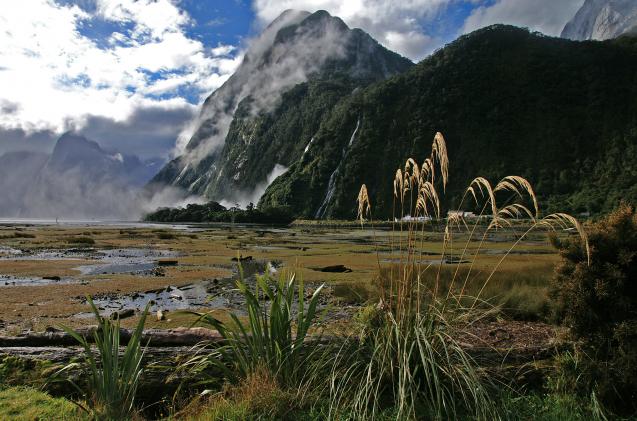 Nz6