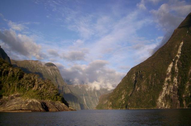 Nz7