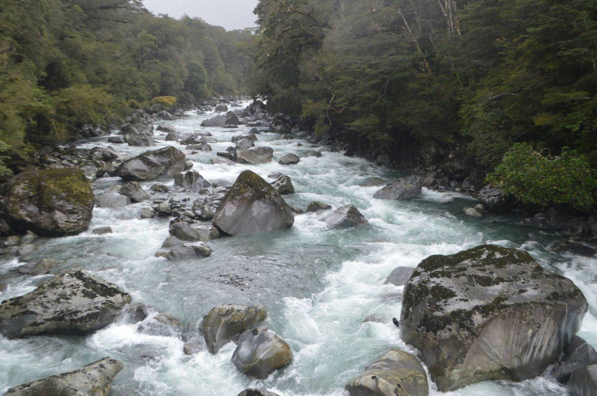 Nz8
