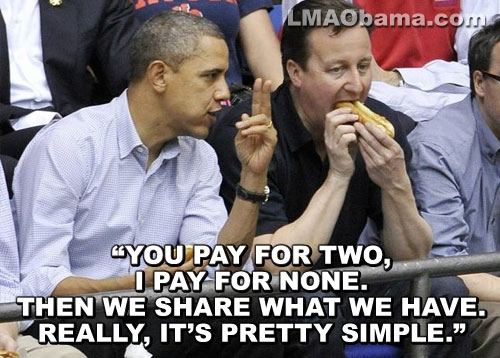 Obama dogs