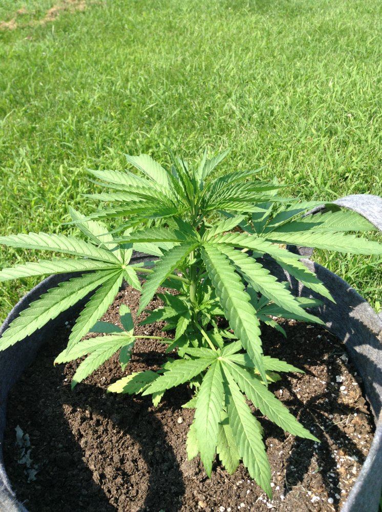 OD17aug 007
