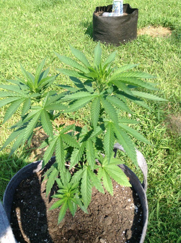OD17aug 019