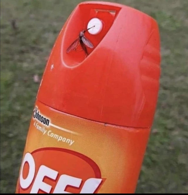 Offbugsprayisalie
