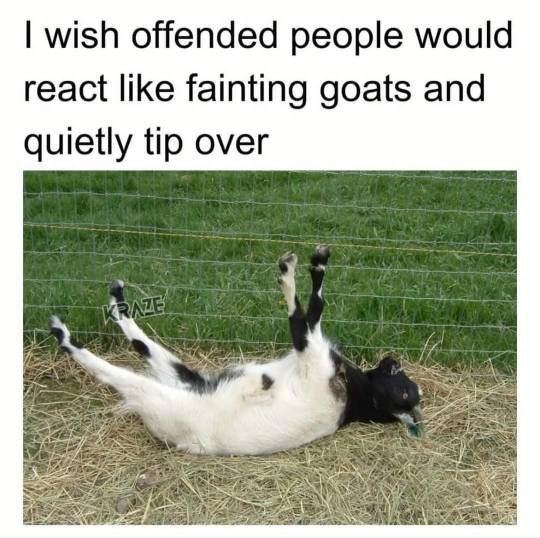 Offended