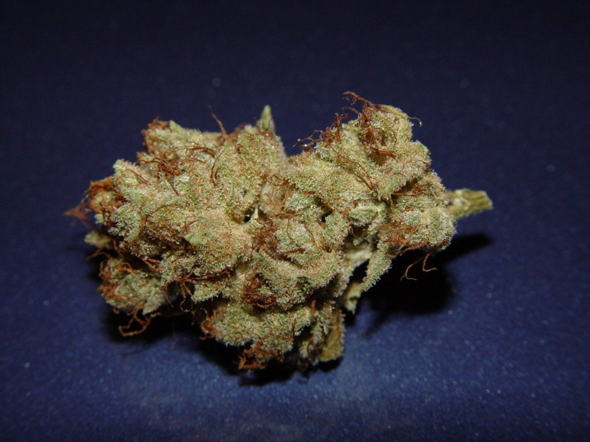 OG Kush 2