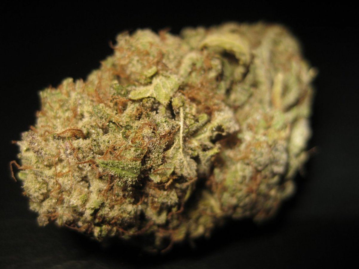 OG KUSH 2