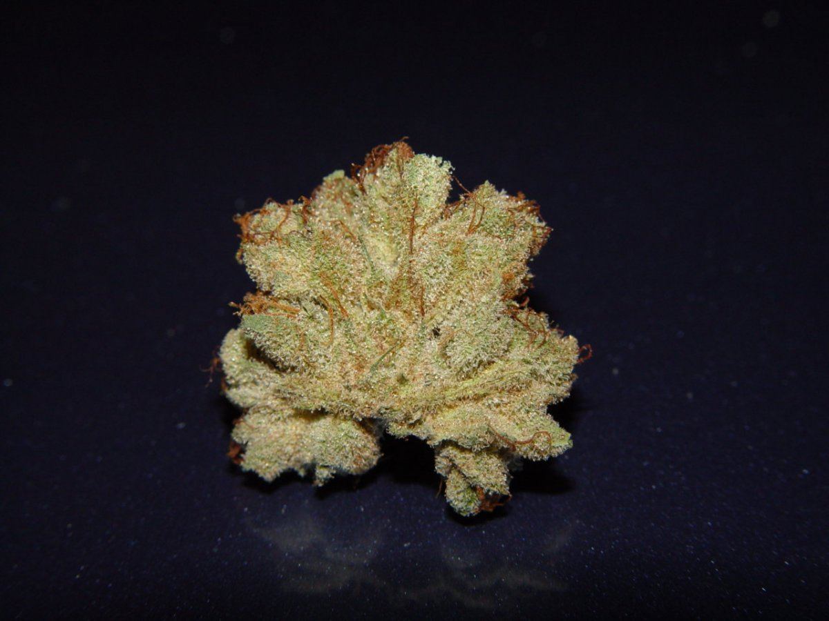 OG Kush 3