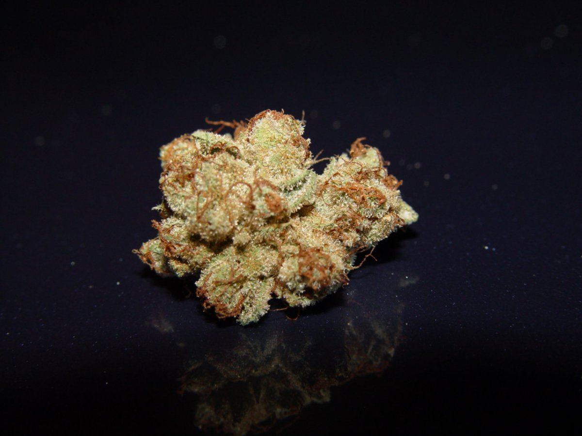 OG Kush 4