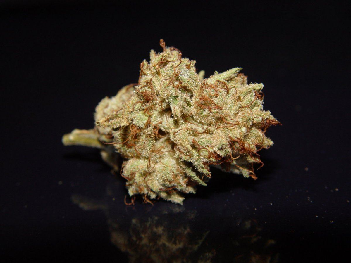 OG Kush 5