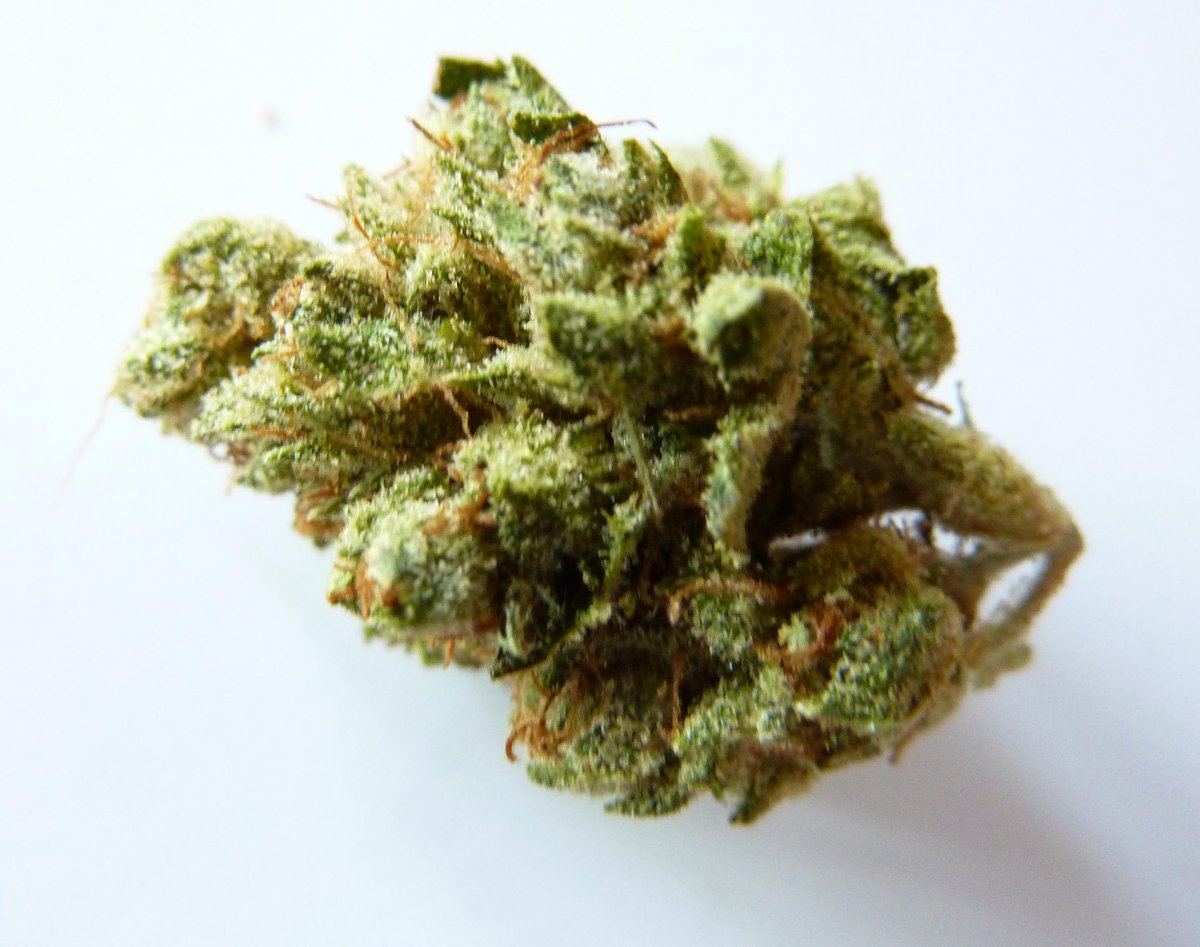 Og kush1