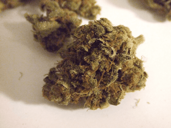 Og13a