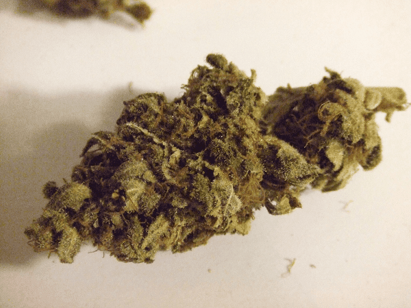 Og13b
