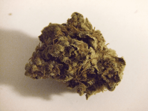 Og13c