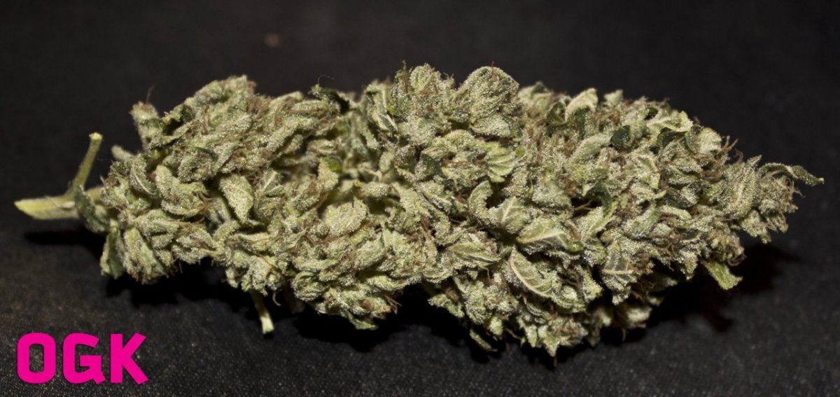 OGK COLA