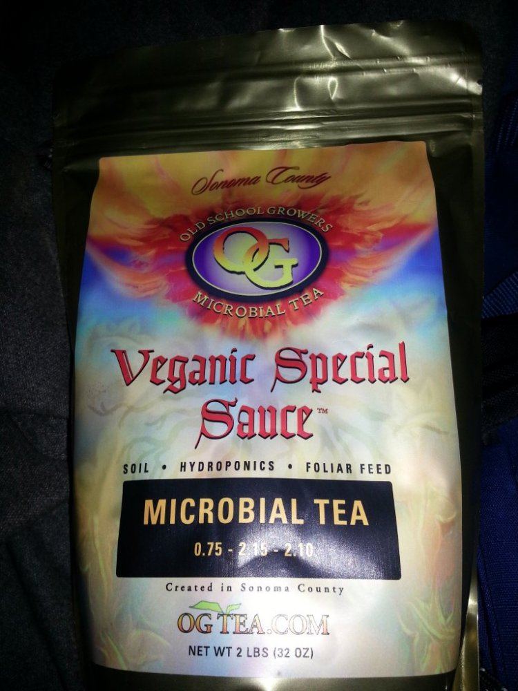 Ogtea