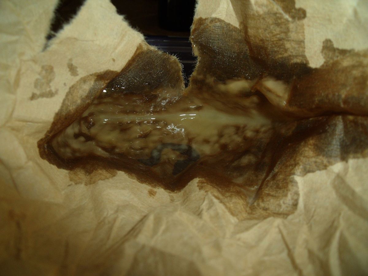 Oil24
