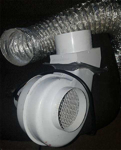 Old fan