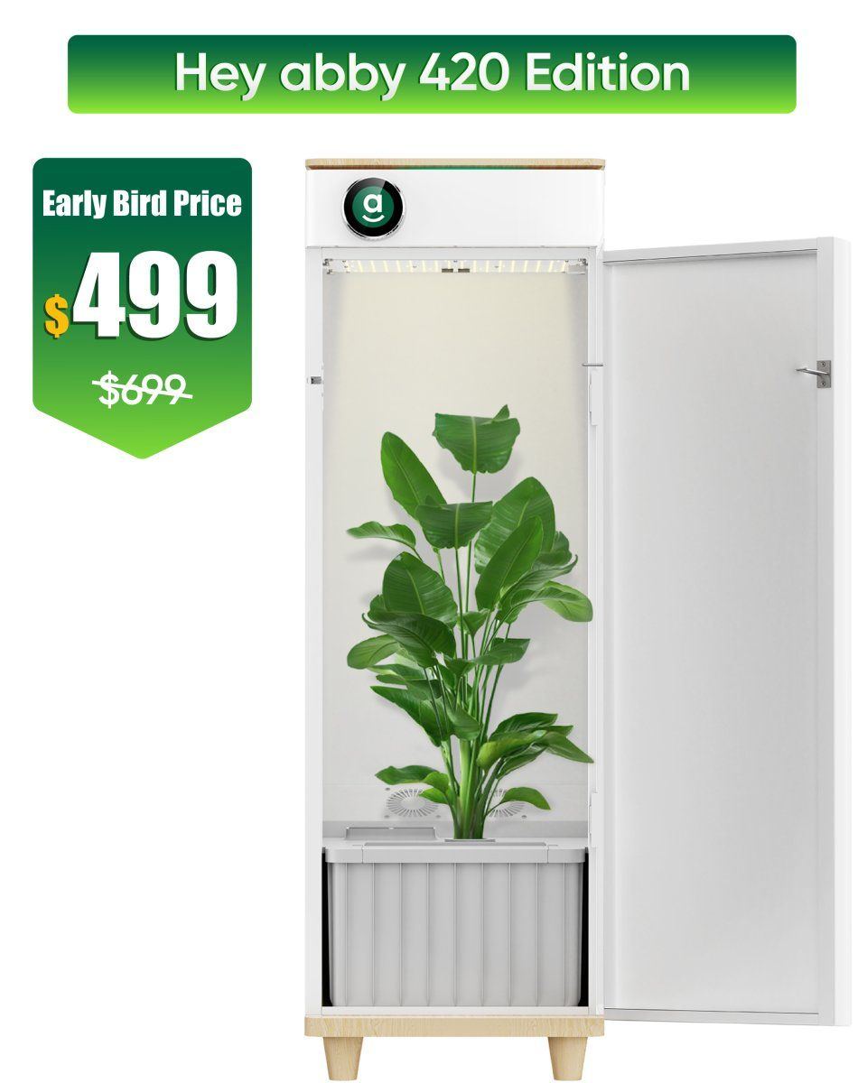 Only 4 weeks left enjoy 200 off hey abby 420 edition grow box