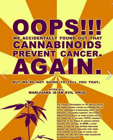 Ooops mj is a drug