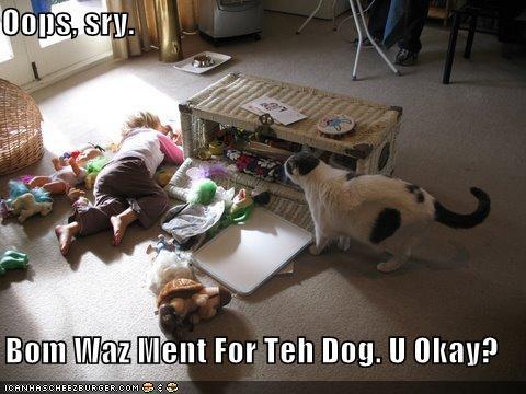 OopsSryBombMeant4Dog