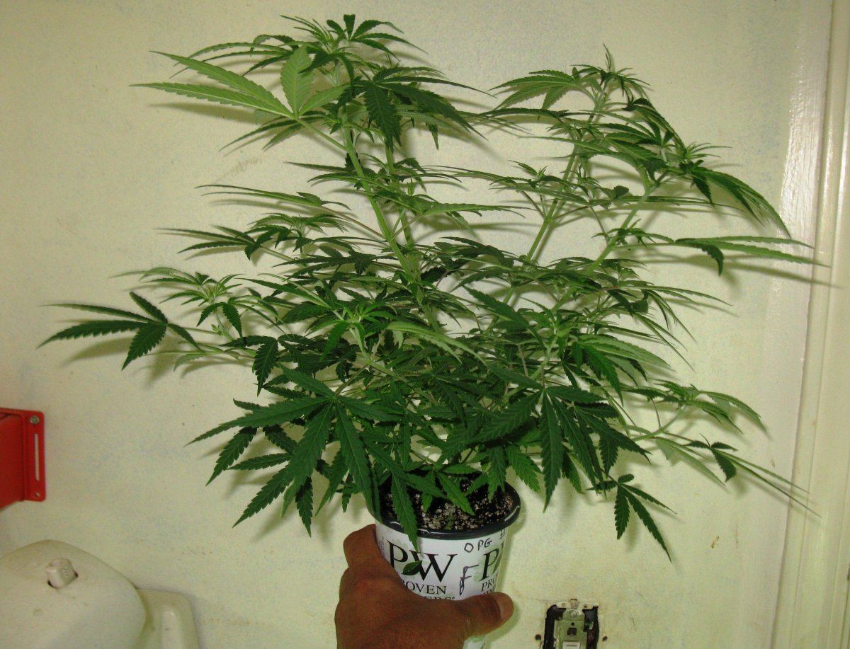 Opg veg 005