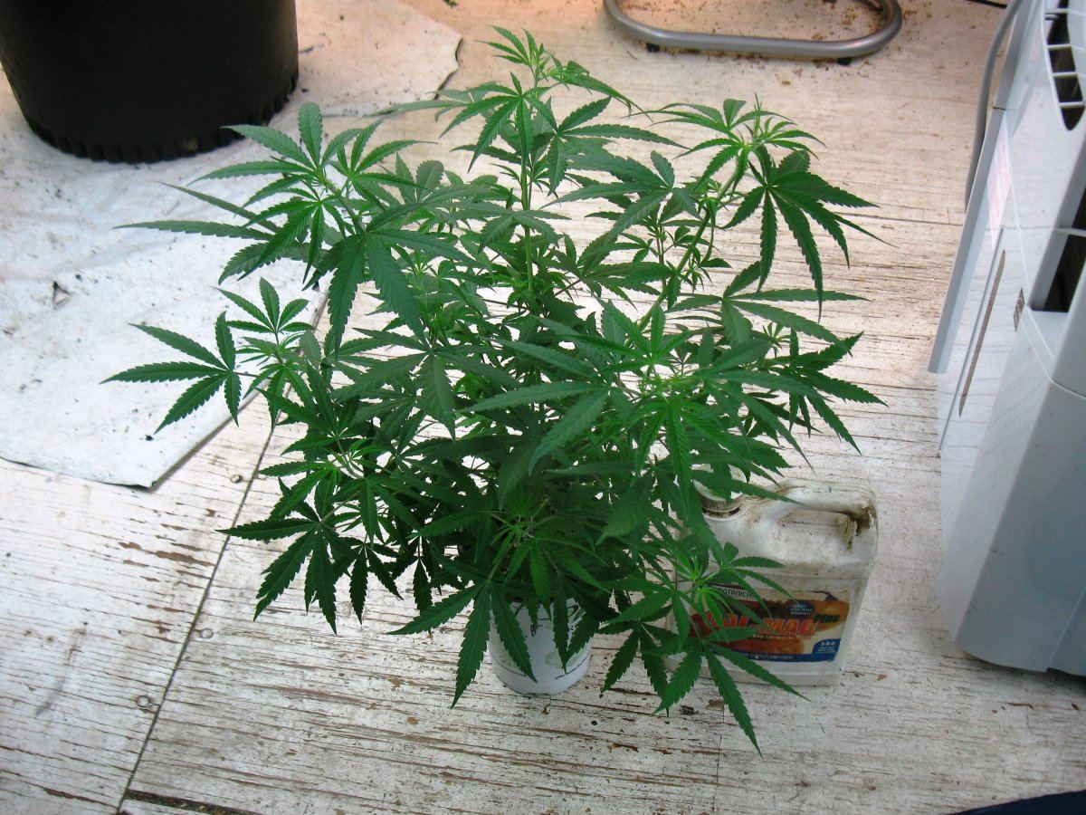 Opg veg 006