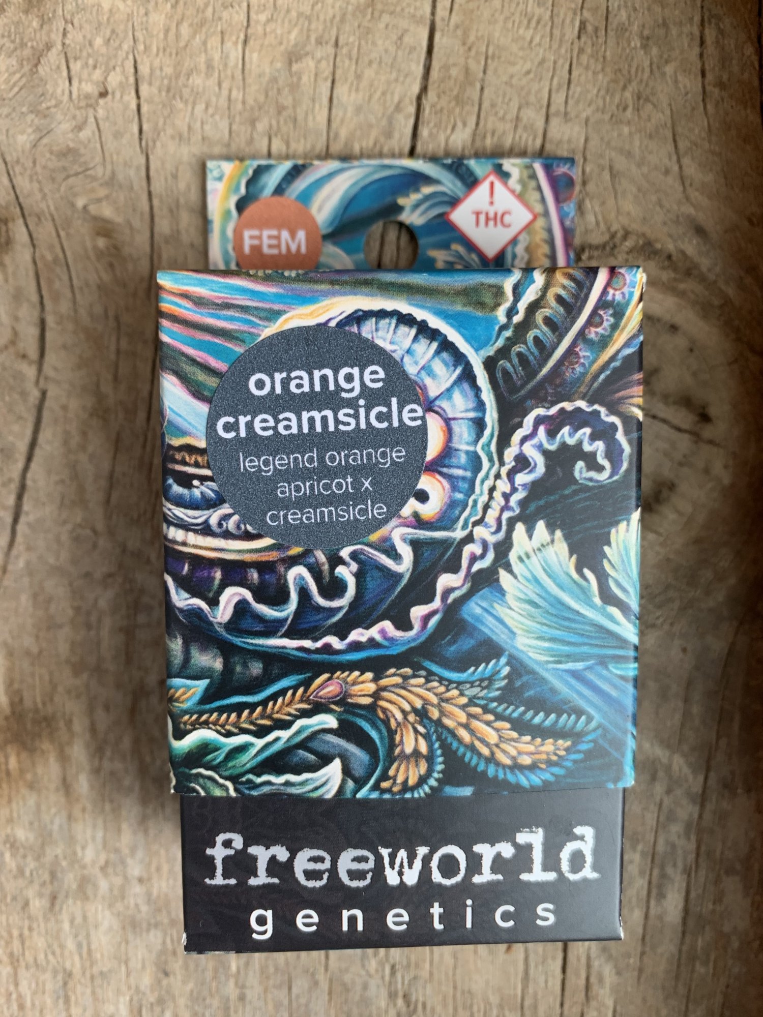 Orange creamsicle seeds from freeworld genetics