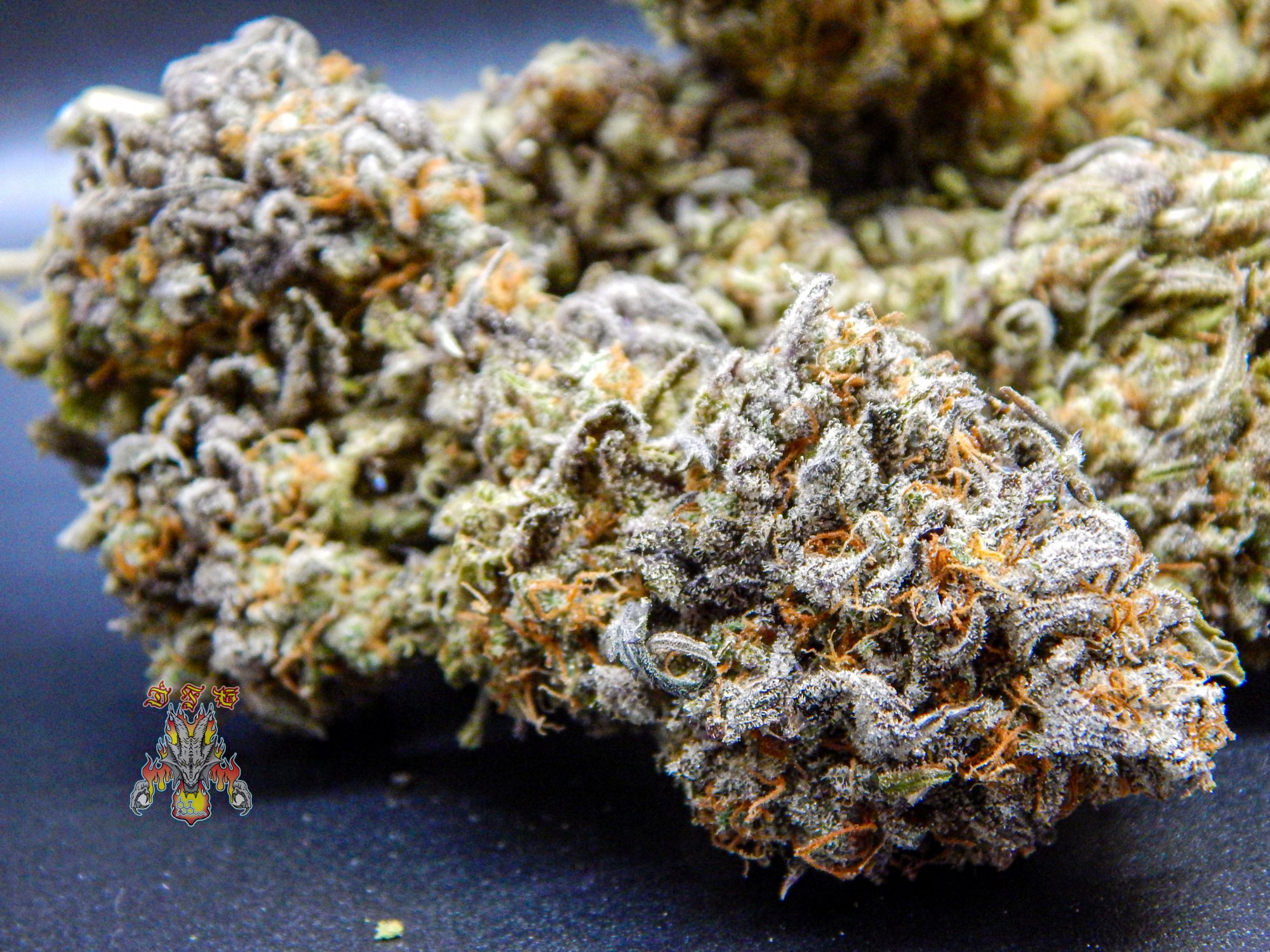 Orange dreams 3 5