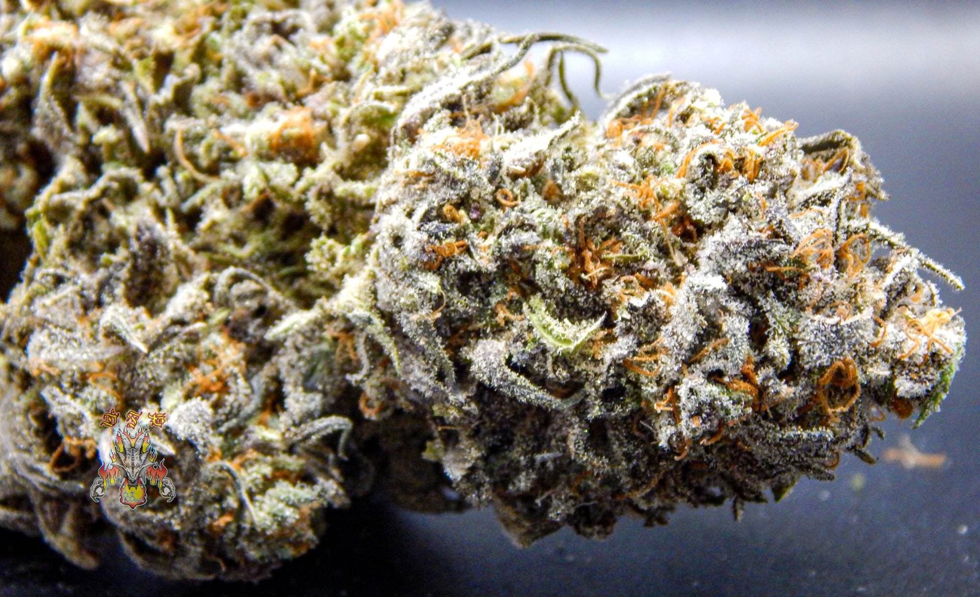 Orange dreams 3 9
